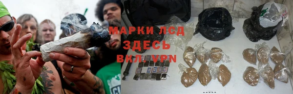 ПСИЛОЦИБИНОВЫЕ ГРИБЫ Лагань