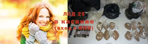 ПСИЛОЦИБИНОВЫЕ ГРИБЫ Лагань