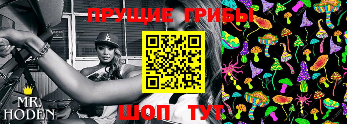 Юрга  Псилоцибиновые грибы прущие грибы  Вход с VPN 